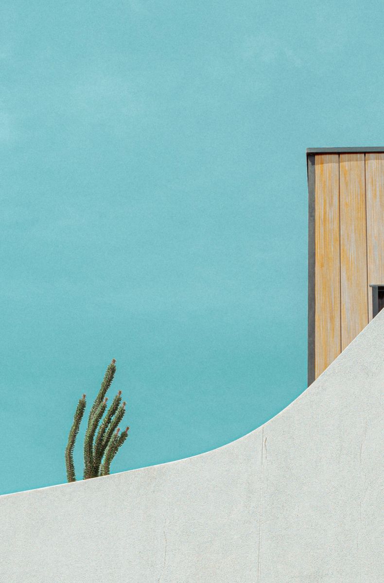 Vibrant turquoise/teal and yellow abstract architectural photography print featuring a cactus and white curved wall, titled Prickly Perspective.