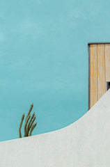 Vibrant turquoise/teal and yellow abstract architectural photography print featuring a cactus and white curved wall, titled Prickly Perspective.