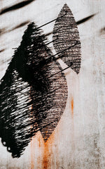 High-contrast, abstract fine art photography print featuring textured wire shapes and dramatic shadows on a muted background, titled Umbra.