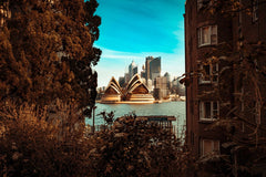 Iconic Sydney Opera House and skyline view framed by trees from Kirribilli, captured in a moody fine art photography print.