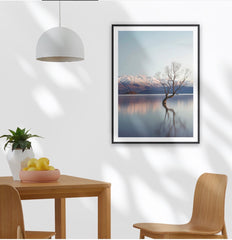 Wanaka Tree, New Zealand.