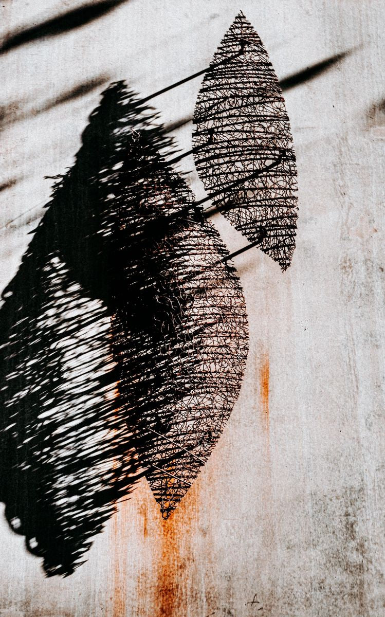 High-contrast, abstract fine art photography print featuring textured wire shapes and dramatic shadows on a muted background, titled Umbra.